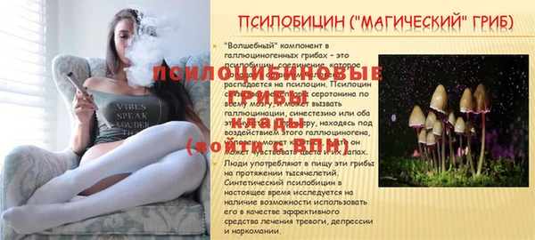 мяу мяу кристалл Иннополис
