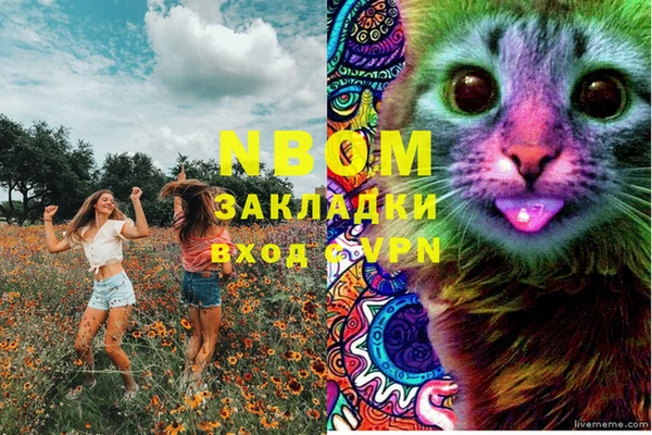 мяу мяу кристалл Иннополис