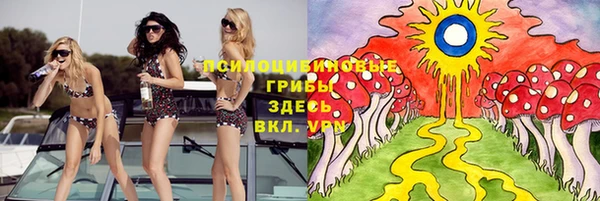 мяу мяу кристалл Иннополис
