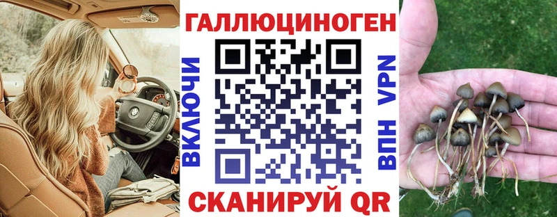 Купить  Северобайкальск  Псилоцибиновые грибы Cubensis 